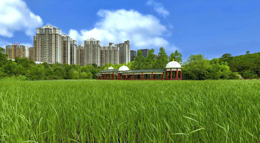 杰鸿木材